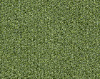 [300111185_15] Heuga 727 - 4122306 Fern